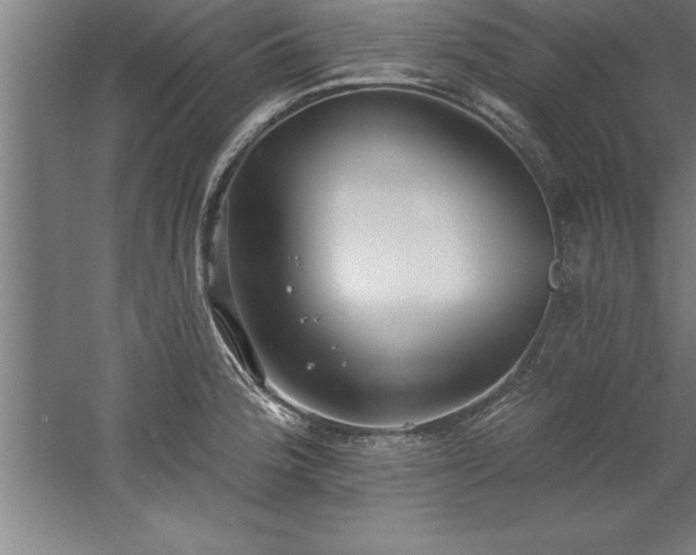 X0000060561188200511070939