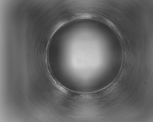 X0000060561194200511070939