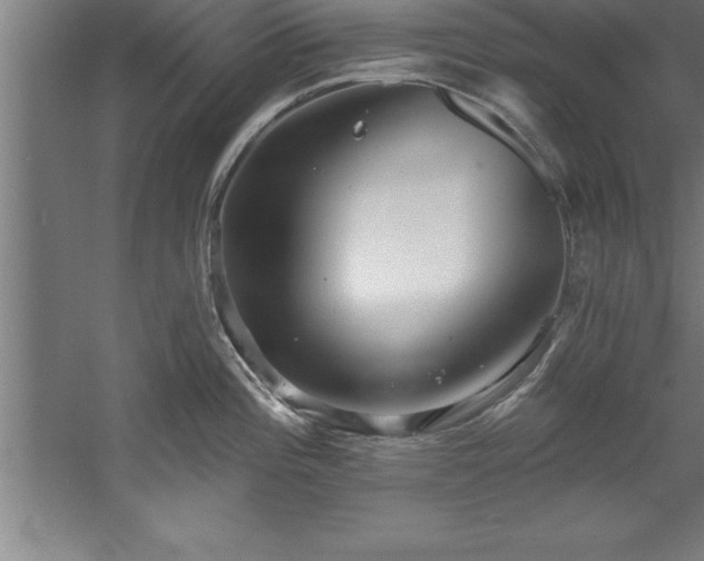 X0000060561196200511070939