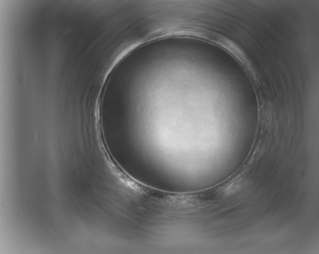 X0000060561198200511070939