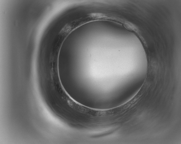 X0000060561199200511070939