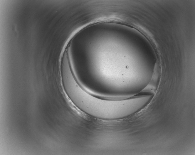 X0000060561200200511070939