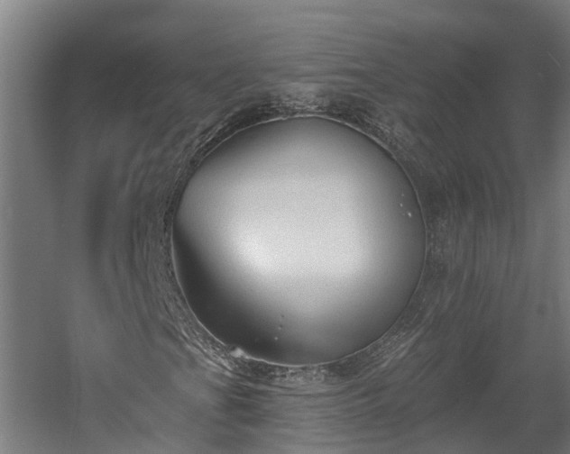 X0000060561201200511070938