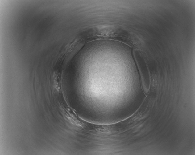 X0000060561202200511070938