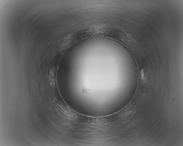 X0000060561203200511070938