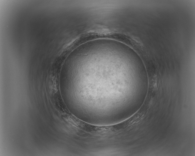 X0000060561205200511070938