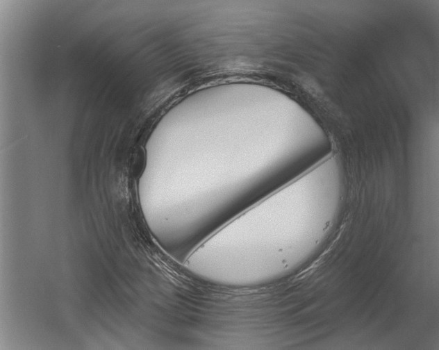 X0000060561209200511070938