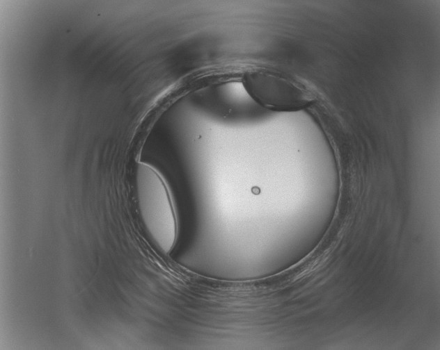 X0000060561210200511070938