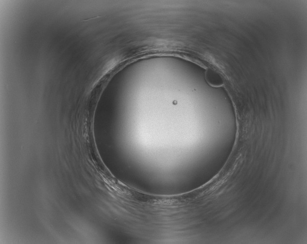 X0000060561211200511070938