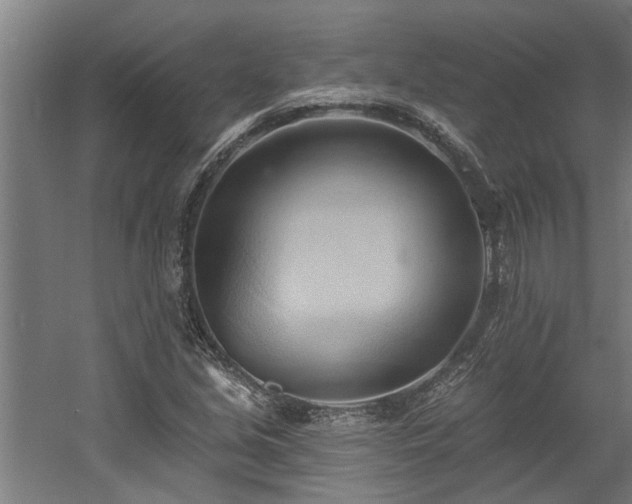 X0000060561213200511070938