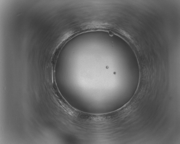 X0000060561219200511070938