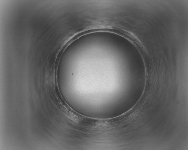 X0000060561220200511070938