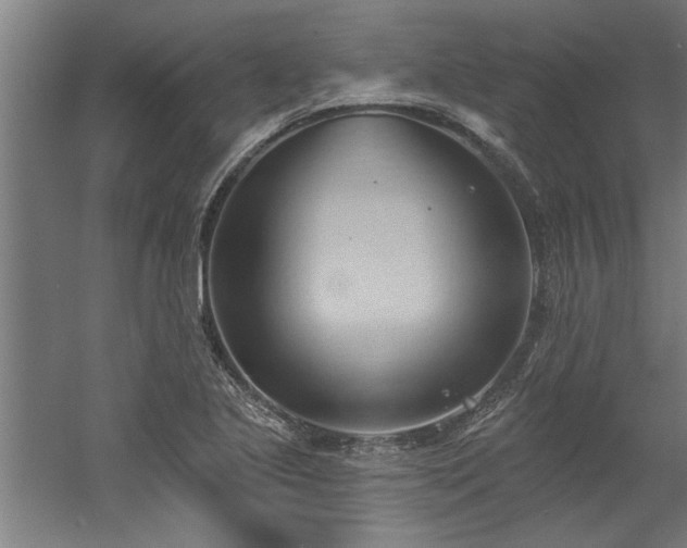 X0000060561221200511070938