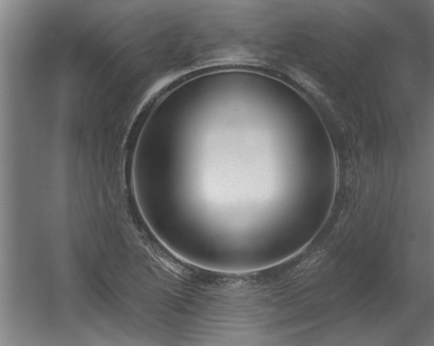 X0000060561222200511070938