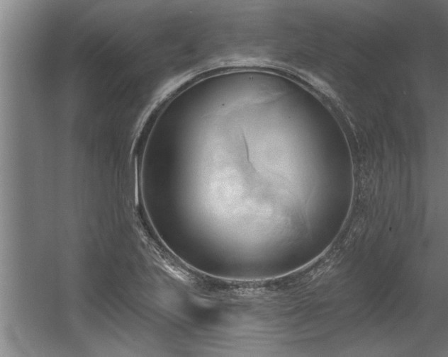 X0000060561223200511070938