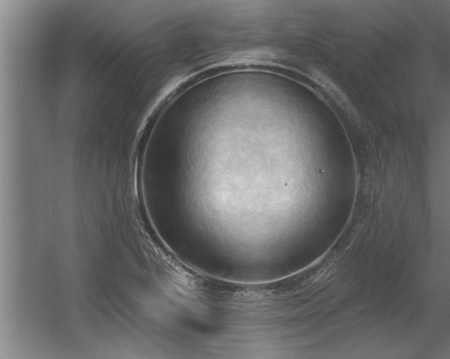 X0000060561224200511070938