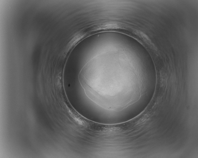 X0000060561225200511070938