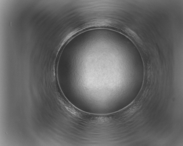 X0000060561226200511070938