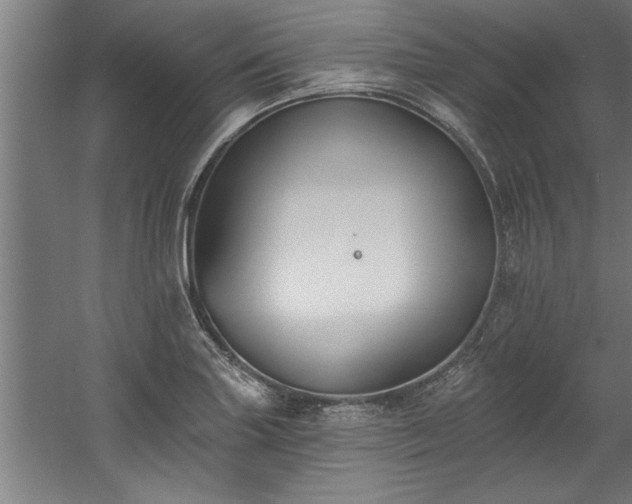 X0000060561227200511070938