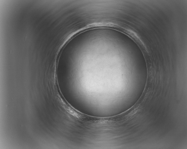 X0000060561228200511070939