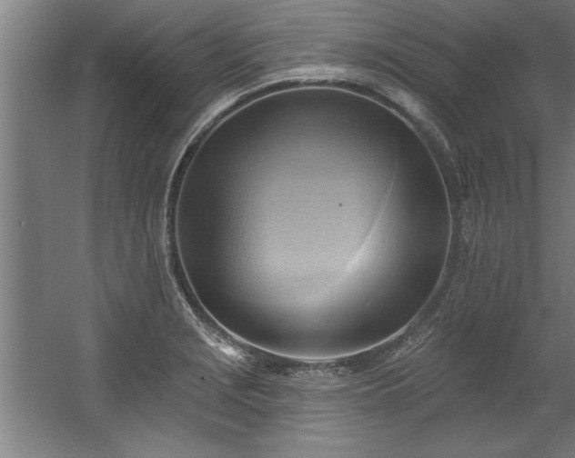 X0000060561229200511070939