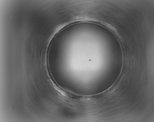 X0000060561231200511070939