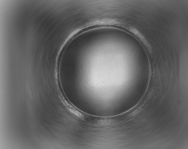 X0000060561232200511070939