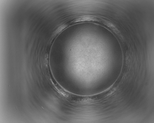 X0000060561233200511070939