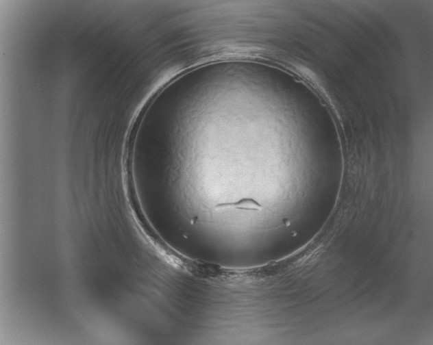 X0000060561235200511070939