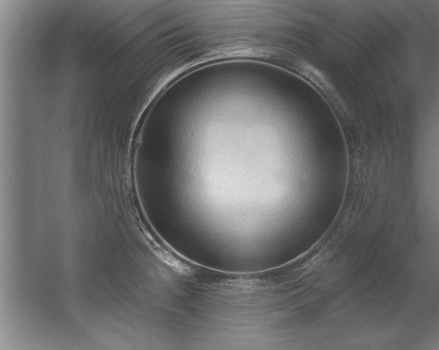 X0000060561236200511070939