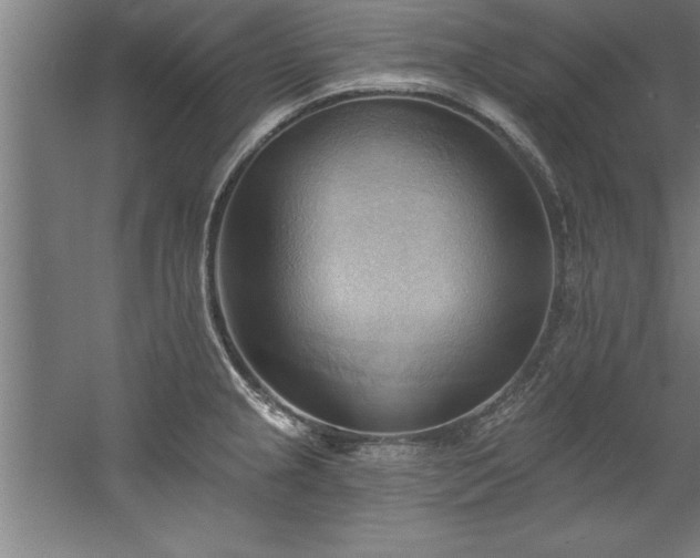 X0000060561237200511070939