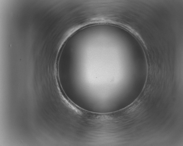 X0000060561239200511070939