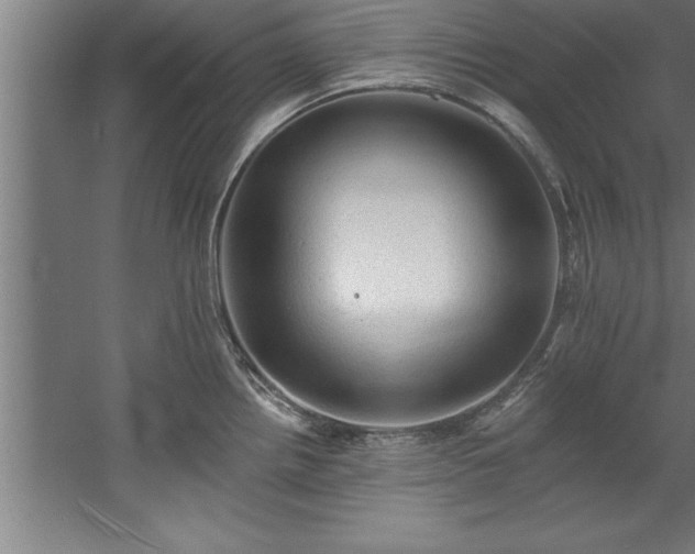 X0000060561242200511070939