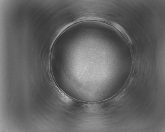 X0000060561244200511070939