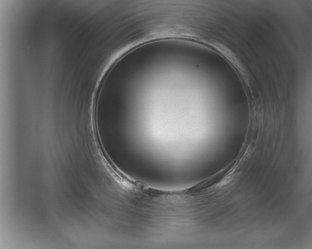 X0000060561246200511070939