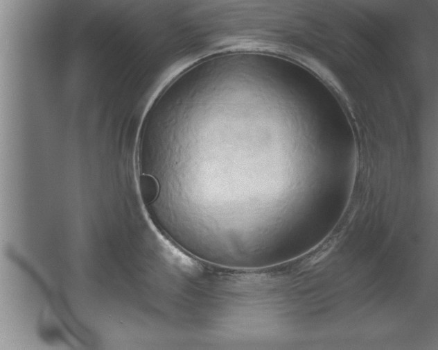 X0000060561247200511070939