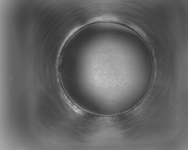 X0000060561248200511070939