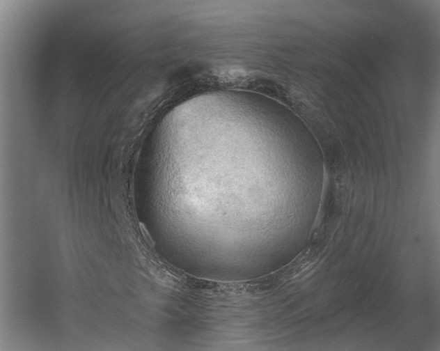 X0000060561249200511070938