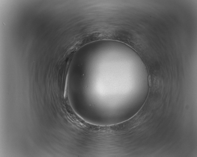 X0000060561250200511070938