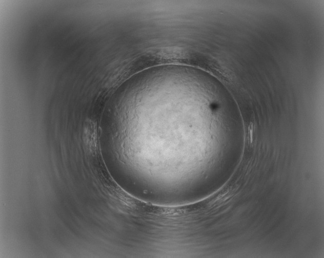 X0000060561251200511070938