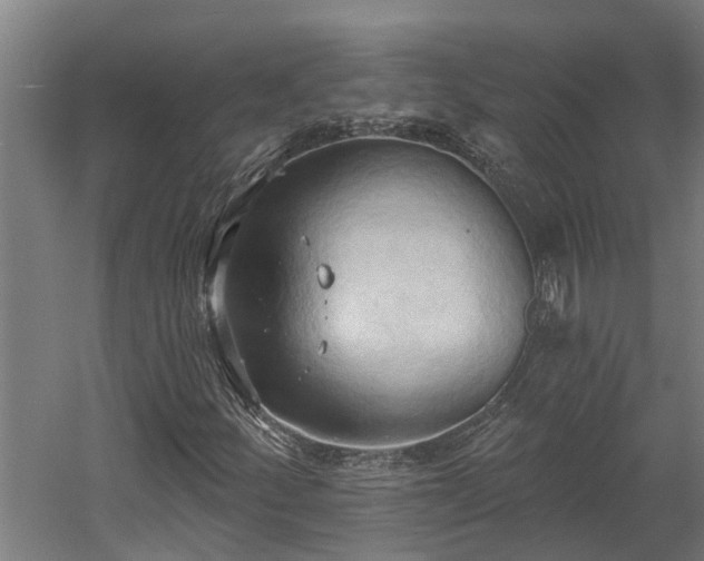 X0000060561252200511070938