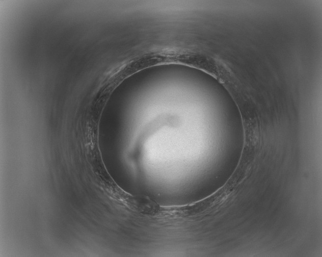 X0000060561253200511070938