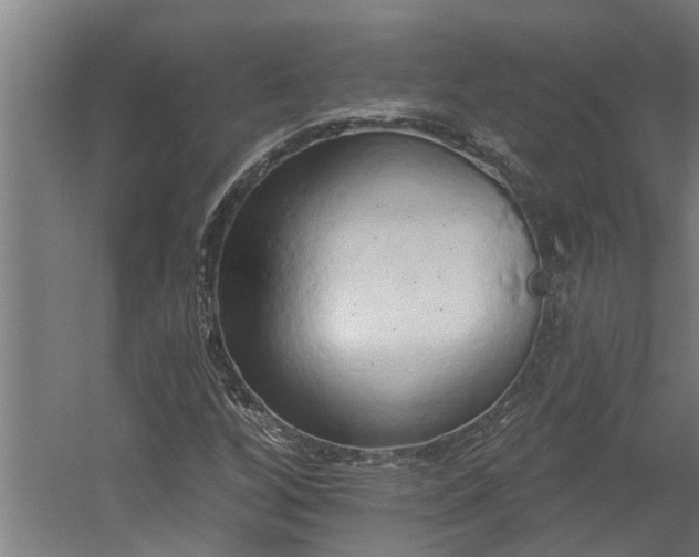 X0000060561256200511070938