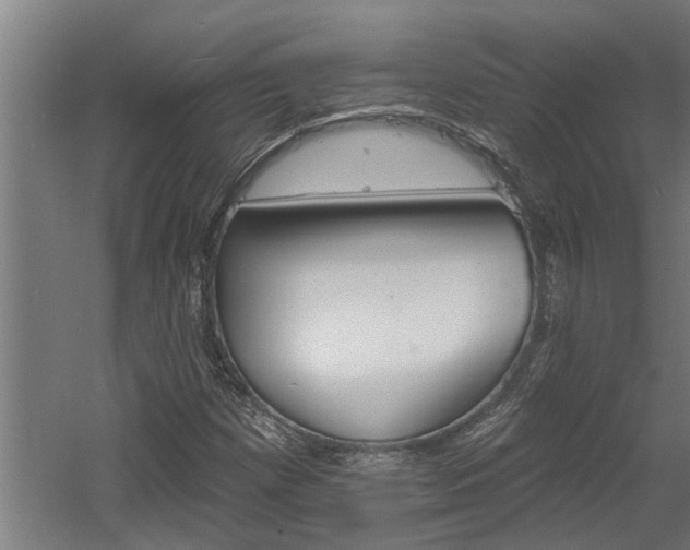 X0000060561257200511070938