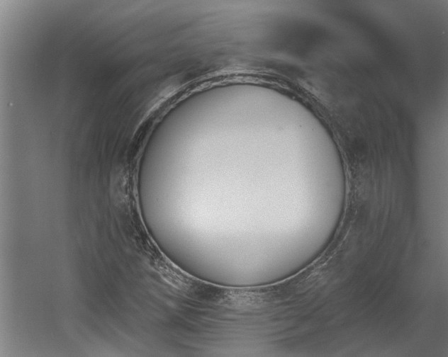 X0000060561258200511070938