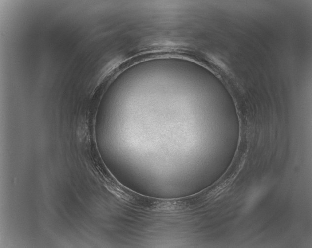 X0000060561259200511070938