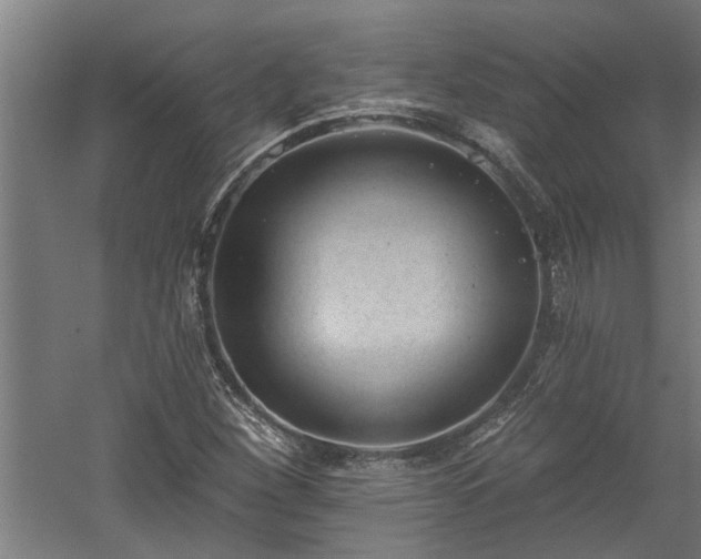 X0000060561260200511070938