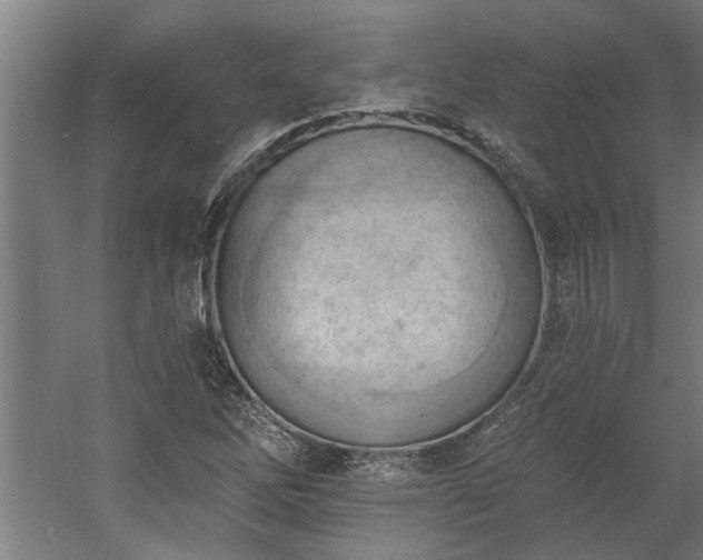 X0000060561262200511070938