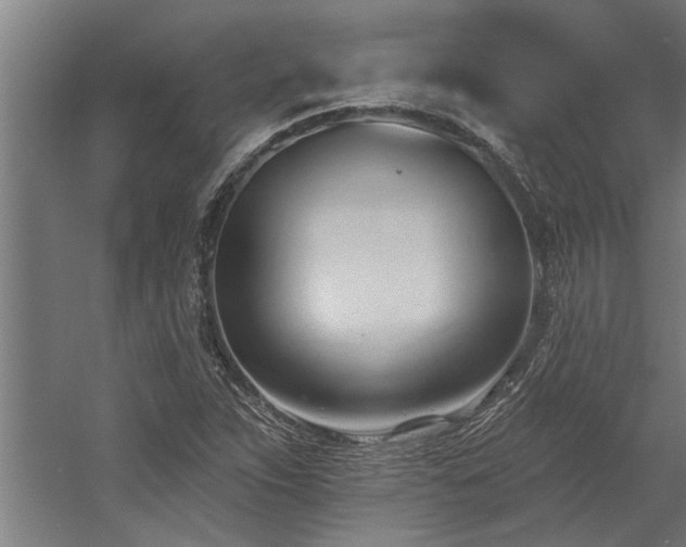 X0000060561263200511070938