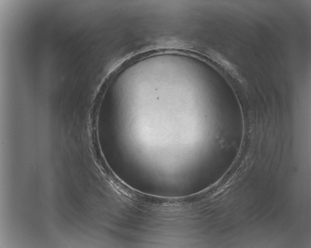 X0000060561264200511070938